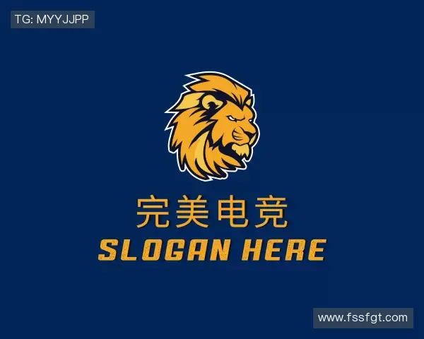 介绍完美对战平台官网